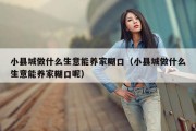 小县城做什么生意能养家糊口（小县城做什么生意能养家糊口呢）