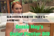 投资10000每天收益300（投资十元一小时赚500）