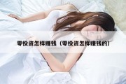 零投资怎样赚钱（零投资怎样赚钱的）