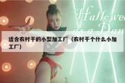 适合农村干的小型加工厂（农村干个什么小加工厂）