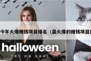今年火爆赚钱项目排名（最火爆的赚钱项目）