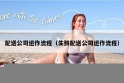 配送公司运作流程（生鲜配送公司运作流程）