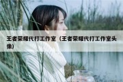 王者荣耀代打工作室（王者荣耀代打工作室头像）