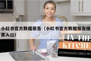 小红书官方数据报告（小红书官方数据报告搜索入口）