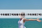今年赚钱了吗有赚个屁的（今年挣钱了吗）