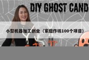 小型机器加工创业（家庭作坊100个项目）