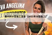 最火的小型加工企业（2021年小型加工厂）
