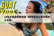 10元小投资网络项目（网络投资小利润高的小生意）