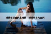赚钱小项目网上赚钱（赚钱项目大全网）