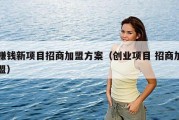 赚钱新项目招商加盟方案（创业项目 招商加盟）