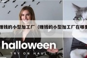 赚钱的小型加工厂（赚钱的小型加工厂在哪里）