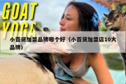 小百货加盟品牌哪个好（小百货加盟店10大品牌）
