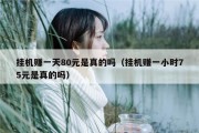 挂机赚一天80元是真的吗（挂机赚一小时75元是真的吗）