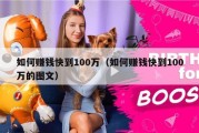 如何赚钱快到100万（如何赚钱快到100万的图文）