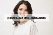 创业好项目小投资（创业小投资赚大钱项目）