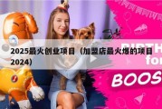 2025最火创业项目（加盟店最火爆的项目2024）