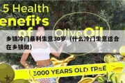 乡镇冷门暴利生意30岁（什么冷门生意适合在乡镇做）