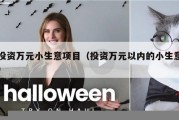 投资万元小生意项目（投资万元以内的小生意）