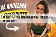 现在做什么行业最赚钱最稳农村（现在做什么赚钱在农村）