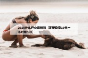 2025什么行业最赚钱（正规投资10元一小时赚500）