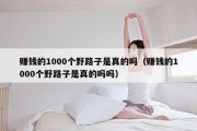 赚钱的1000个野路子是真的吗（赚钱的1000个野路子是真的吗吗）