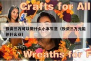 投资三万可以做什么小本生意（投资三万元能创什么业）