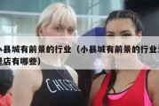 小县城有前景的行业（小县城有前景的行业汉堡店有哪些）