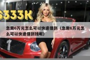 急需6万元怎么可以快速借到（急需6万元怎么可以快速借到钱呢）