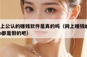 网上公认的赚钱软件是真的吗（网上赚钱的app都是假的吧）