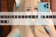 将来赚钱的项目有哪些呢图片（未来赚钱的机会在哪里）