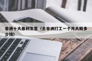 非洲十大暴利生意（去非洲打工一个月大概多少钱）