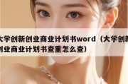 大学创新创业商业计划书word（大学创新创业商业计划书查重怎么查）