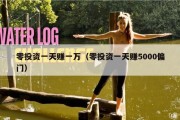 零投资一天赚一万（零投资一天赚5000偏门）