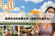 值得关注的宝藏平台（宝藏平台是什么）