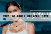 现在办什么厂最有前景（开什么加工厂不愁销路）