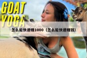 怎么能快速赚1000（怎么能快速赚钱）