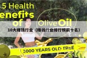 10大赚钱行业（赚钱行业排行榜前十名）