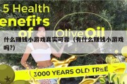 什么赚钱小游戏真实可靠（有什么赚钱小游戏吗?）
