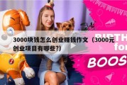 3000块钱怎么创业赚钱作文（3000元创业项目有哪些?）