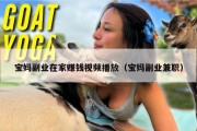 宝妈副业在家赚钱视频播放（宝妈副业兼职）