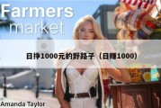 日挣1000元的野路子（日赚1000）