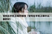 宝妈在手机上如何赚钱（宝妈在手机上做什么兼职好）