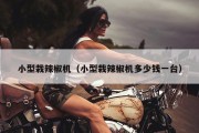 小型栽辣椒机（小型栽辣椒机多少钱一台）