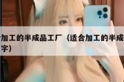 适合加工的半成品工厂（适合加工的半成品工厂名字）