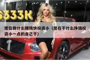 现在做什么赚钱快投资小（现在干什么挣钱投资小一点的自己干）