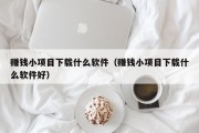 赚钱小项目下载什么软件（赚钱小项目下载什么软件好）