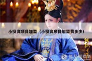 小投资项目加盟（小投资项目加盟费多少）