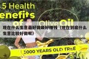 现在什么生意最好做最好赚钱（现在到底什么生意比较好做呢）