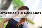 小红书动态怎么看（小红书动态怎么看浏览记录）