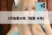 2万加盟小吃（加盟 小吃）